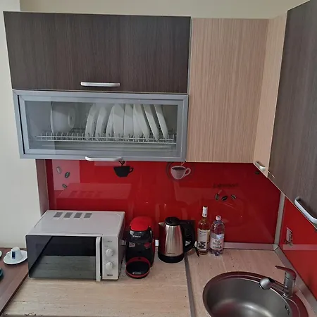 Garsoniera Cocheta Apartment Brasov Exterior photo