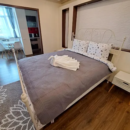 Garsoniera Cocheta Apartment Brasov Exterior photo